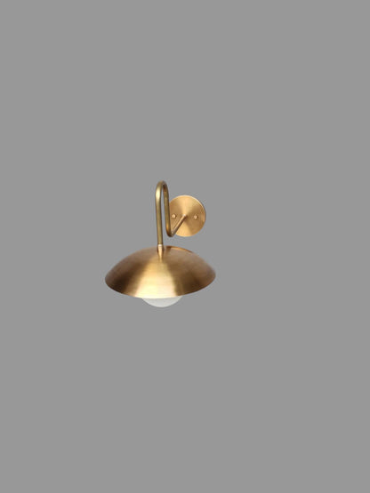 Elegant brass gooseneck wall lamp for interior lighting | Frost Lights
