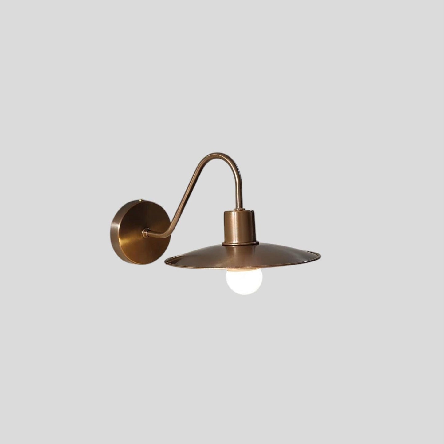 Vintage Charm Illuminated: Brass Wall Sconce with Swan Neck Design