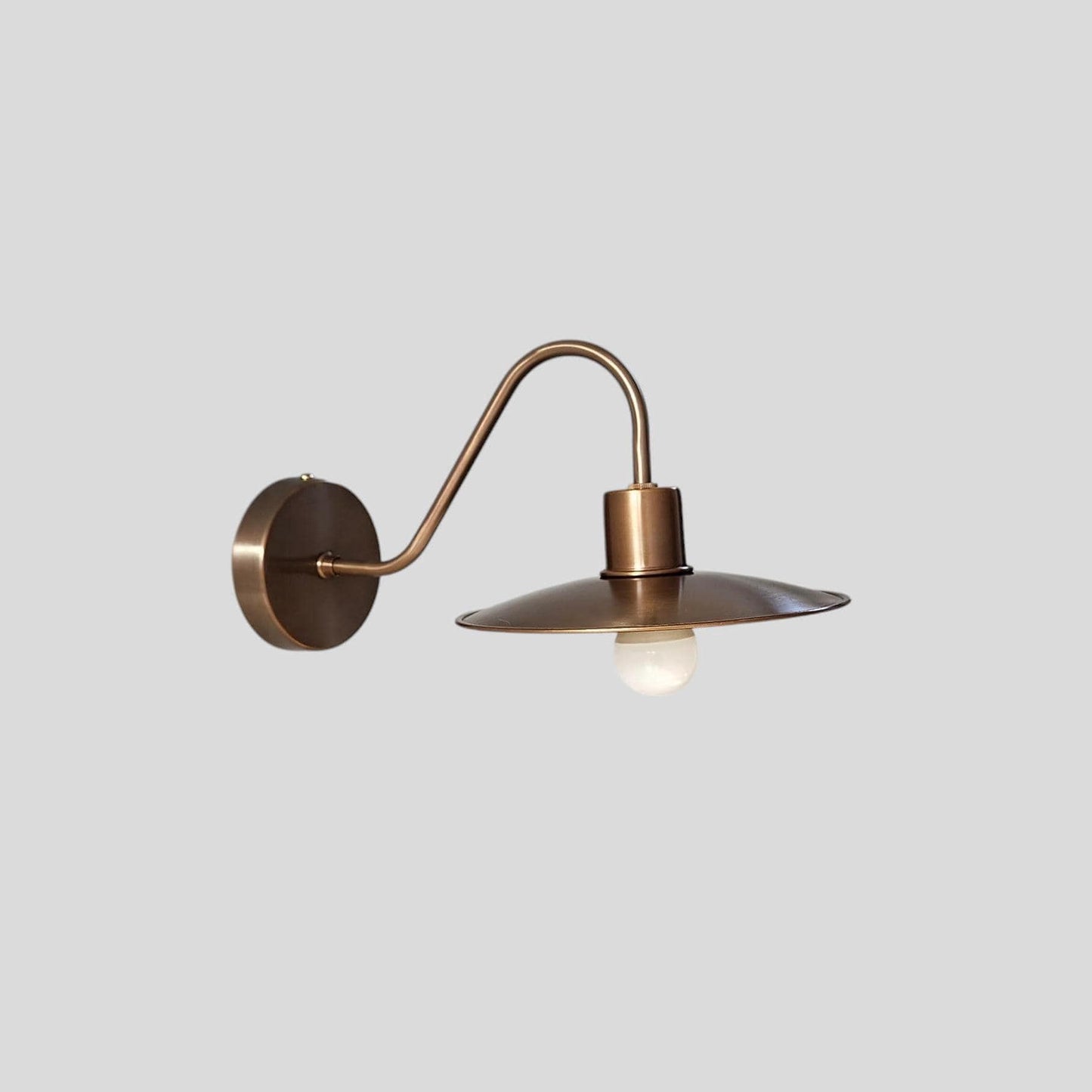 Vintage Charm Illuminated: Brass Wall Sconce with Swan Neck Design