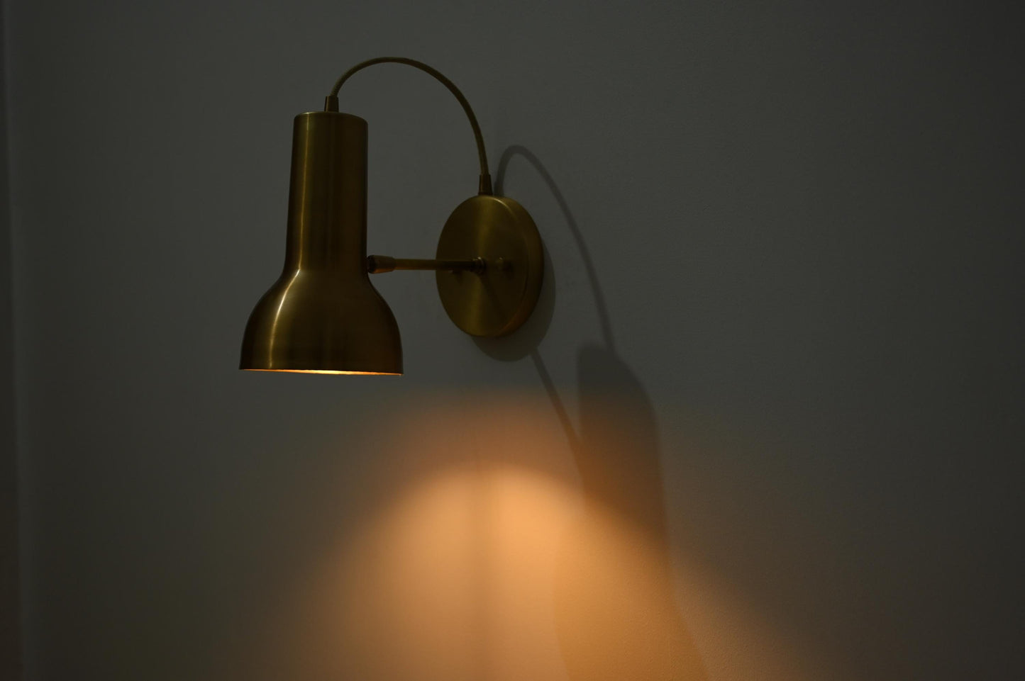 Raw Brass wall sconce